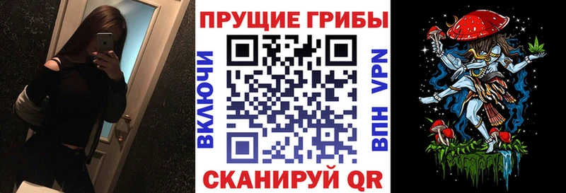 Галлюциногенные грибы прущие грибы  Белый 